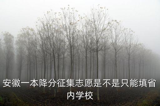 安徽一本降分征集志愿是不是只能填省內學校