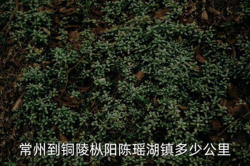常州到銅陵樅陽陳瑤湖鎮多少公里