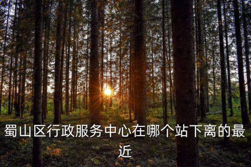 蜀山區(qū)行政服務(wù)中心在哪個(gè)站下離的最近