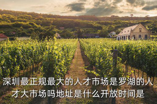 深圳最正規(guī)最大的人才市場是羅湖的人才大市場嗎地址是什么開放時間是