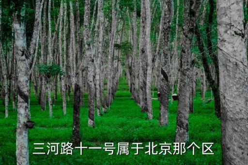 三河路，三河路遛狗事件哪個(gè)部門(mén)管理