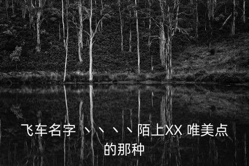 飛車名字 丶丶丶丶陌上XX 唯美點的那種