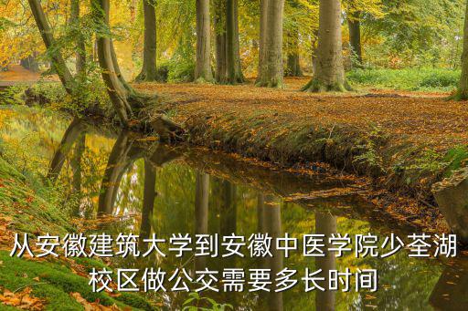 合肥少荃湖，從安徽中醫藥大學少荃湖校區磨店怎么坐車到汽車東站