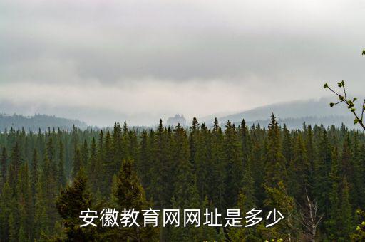 安徽教育網網址是多少