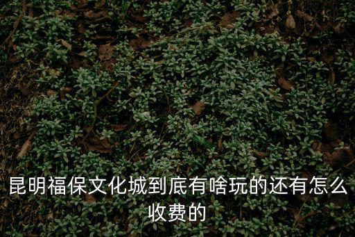 福保文化城，昆明福保文化城到底有啥玩的還有怎么收費的