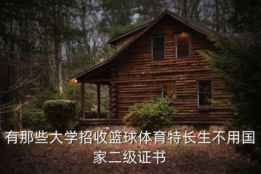 有那些大學(xué)招收籃球體育特長生不用國家二級證書