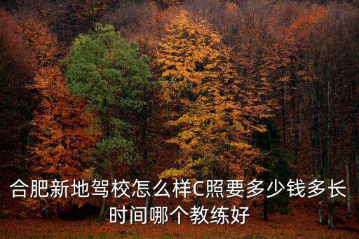 合肥新地駕校怎么樣C照要多少錢多長時間哪個教練好