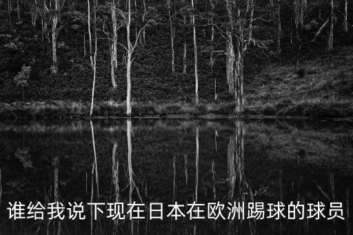 誰給我說下現在日本在歐洲踢球的球員