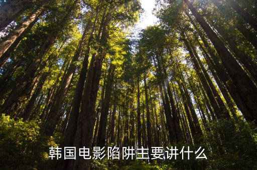 韓國電影陷阱主要講什么