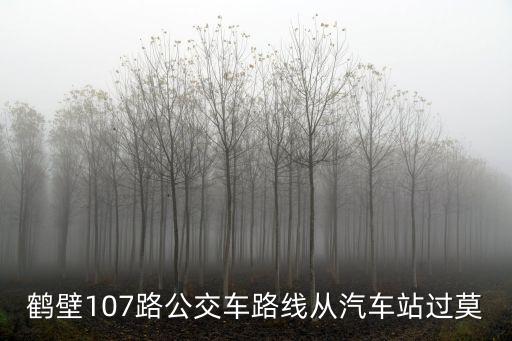 107路，鶴壁107路公交車路線從汽車站過莫