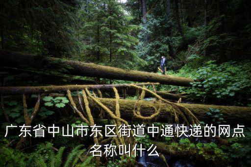 廣東省中山市東區(qū)街道中通快遞的網(wǎng)點(diǎn)名稱叫什么