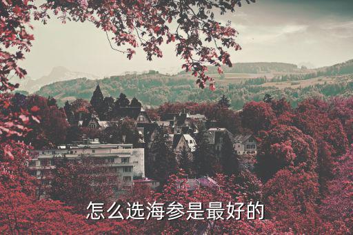 怎么選海參是最好的