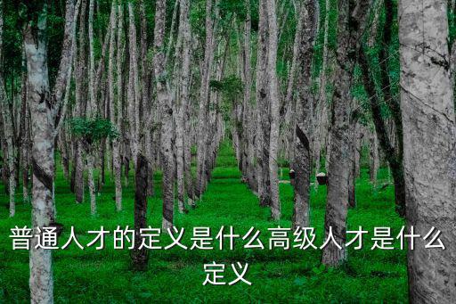高級人才，普通人才的定義是什么高級人才是什么定義