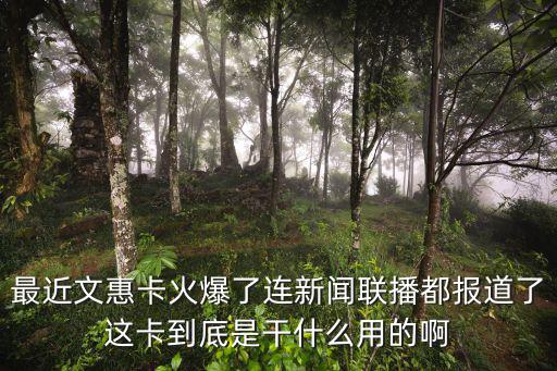 文惠卡，文惠卡是實(shí)名制的嗎