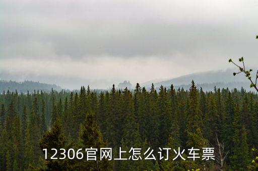 12306火車票官網訂票，12306火車票網上訂票官網怎么查定票是否成功