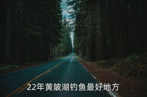 22年黃陂湖釣魚最好地方