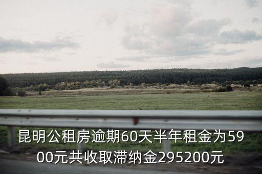 昆明公租房逾期60天半年租金為5900元共收取滯納金295200元