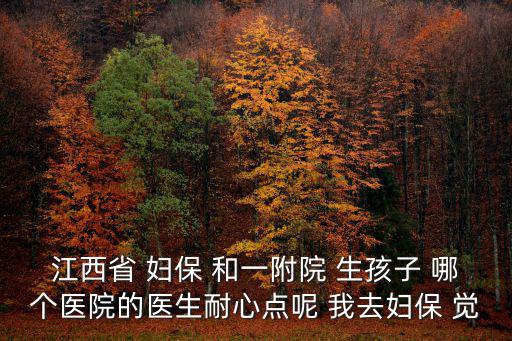 江西省 婦保 和一附院 生孩子 哪個醫(yī)院的醫(yī)生耐心點呢 我去婦保 覺