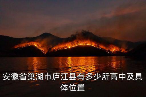 安徽省巢湖市廬江縣有多少所高中及具體位置