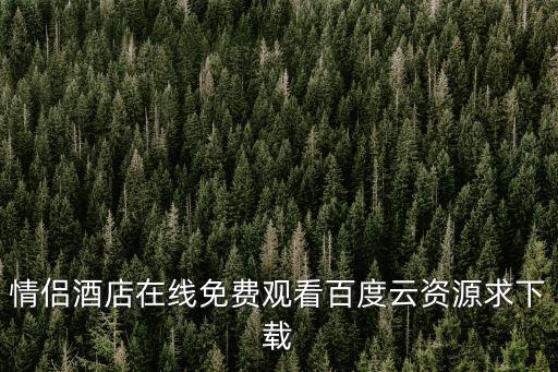 情侶酒店，什么是情侶酒店