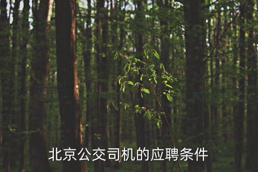 北京公交司機的應聘條件