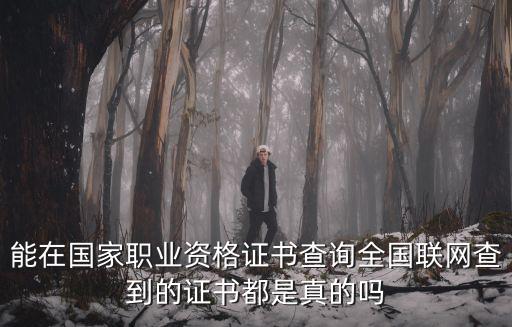 能在國家職業資格證書查詢全國聯網查到的證書都是真的嗎