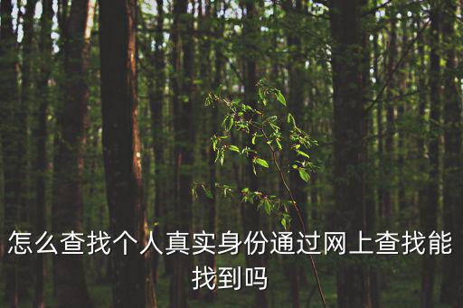 怎么查找個人真實(shí)身份通過網(wǎng)上查找能找到嗎