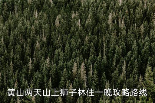 黃山兩天山上獅子林住一晚攻略路線