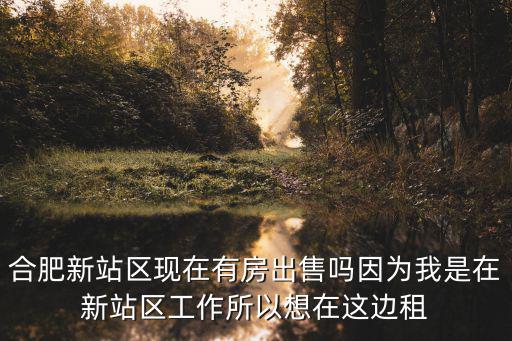 合肥新站區現在有房出售嗎因為我是在新站區工作所以想在這邊租