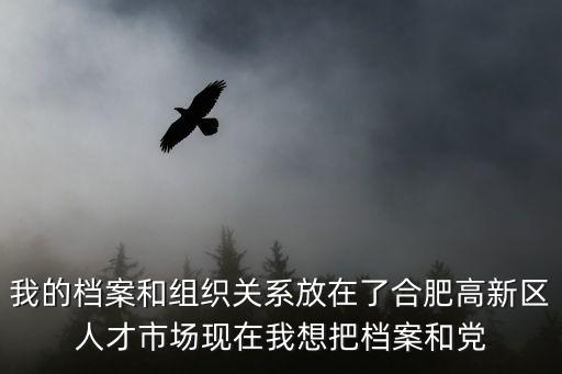 我的檔案和組織關(guān)系放在了合肥高新區(qū)人才市場現(xiàn)在我想把檔案和黨