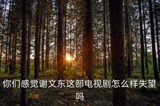 謝文東電視劇，謝文東電視劇162全集更新完了嗎