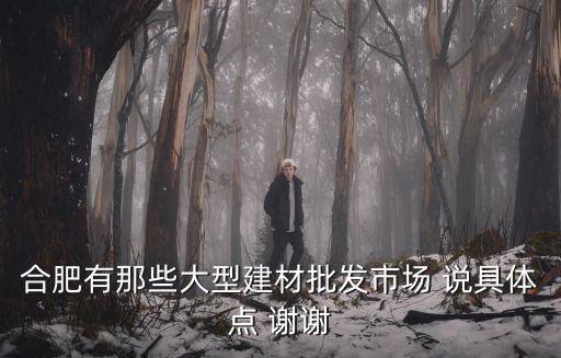 合肥有那些大型建材批發(fā)市場 說具體點(diǎn) 謝謝