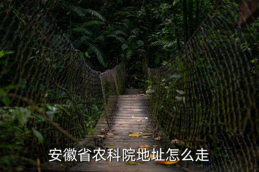 安徽省農(nóng)科院地址怎么走