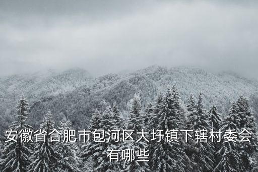 安徽省合肥市包河區大圩鎮下轄村委會有哪些