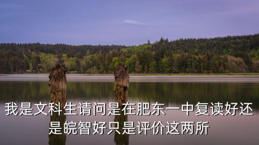 我是文科生請問是在肥東一中復讀好還是皖智好只是評價這兩所