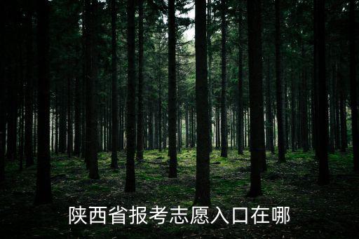 志愿填報入口，云南國家專項征集志愿在什么窗口填報