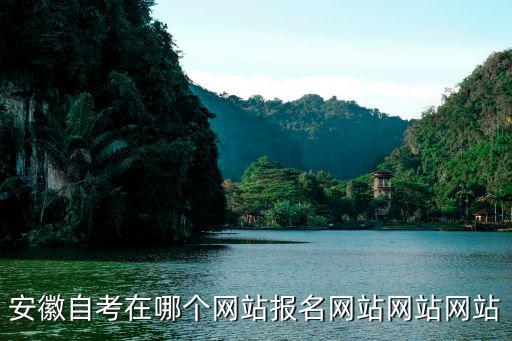 安徽自考網上報名，安徽自考在哪個網站報名網站網站網站