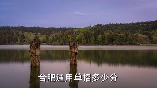 合肥通用單招多少分