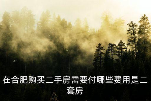在合肥購買二手房需要付哪些費(fèi)用是二套房
