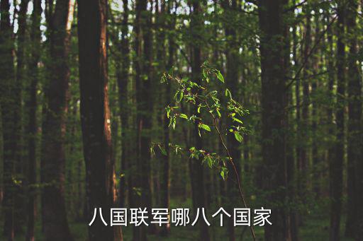 八國聯(lián)軍哪八個國家