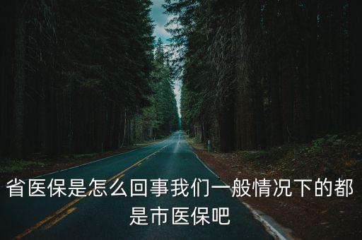 省醫保是怎么回事我們一般情況下的都是市醫保吧