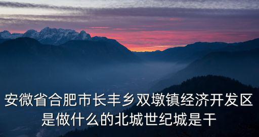 安微省合肥市長豐鄉雙墩鎮經濟開發區是做什么的北城世紀城是干