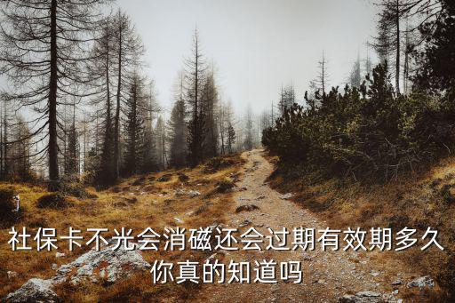 社保卡不光會消磁還會過期有效期多久你真的知道嗎