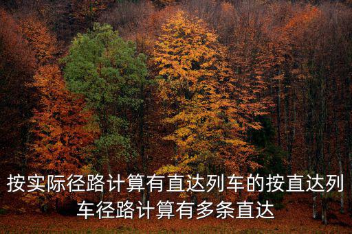 按實際徑路計算有直達(dá)列車的按直達(dá)列車徑路計算有多條直達(dá)