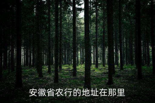 安徽省農行的地址在那里
