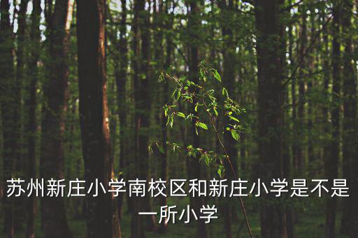蘇州新莊小學南校區和新莊小學是不是一所小學