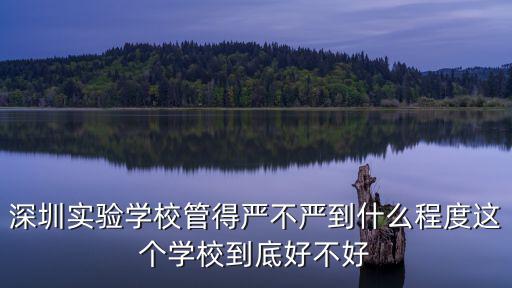 深圳實驗學校，深圳實驗學校管得嚴不嚴到什么程度這個學校到底好不好
