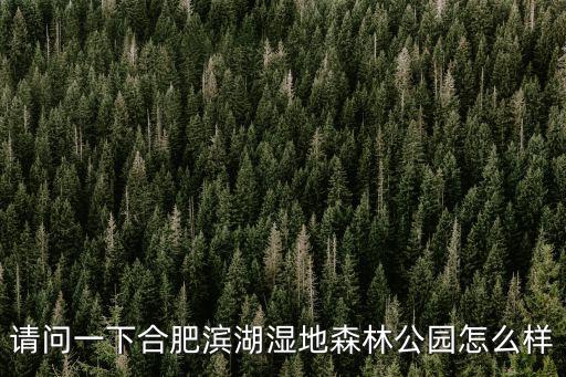 合肥濱湖濕地公園，合肥濱湖濕地森林公園怎么樣