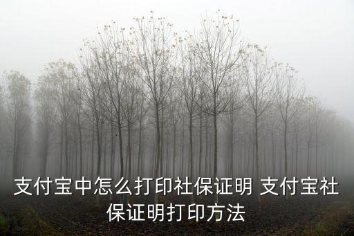 支付寶中怎么打印社保證明 支付寶社保證明打印方法