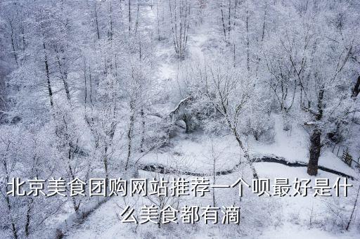北京美食團購網站推薦一個唄最好是什么美食都有滴